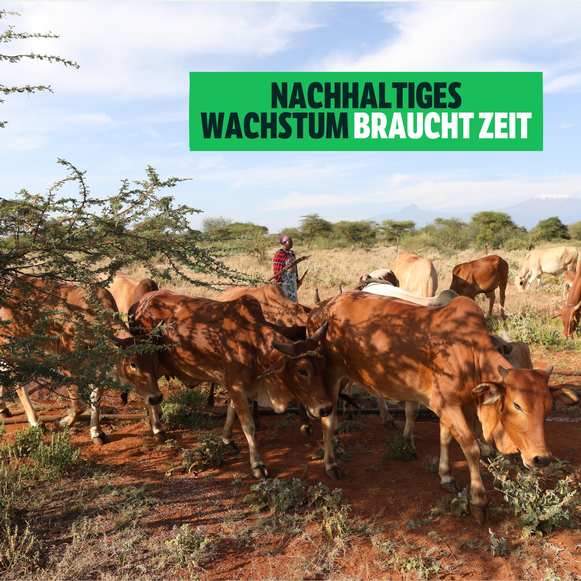Nachhaltiges Wachstum
