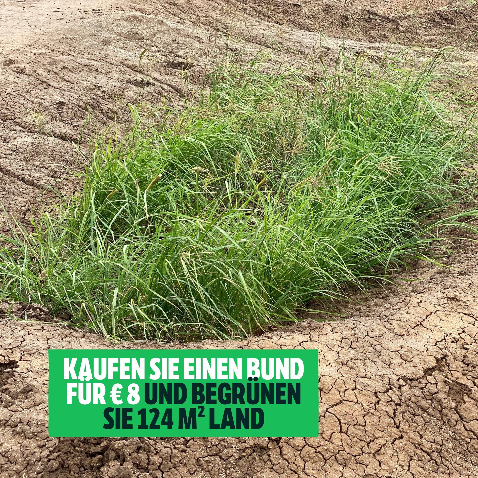 Spende für Justdiggit